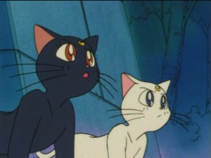 SailorMoon-s1-043(253).JPG
