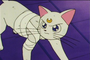 SailorMoon-s1-046(306).jpg