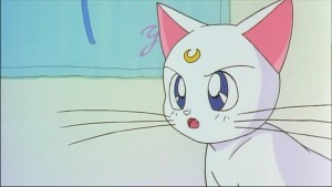 Sailormoon-R (301).jpg
