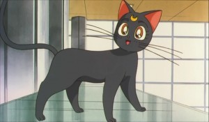 SailormoonS-movie (2038).jpg