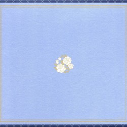 boxbackcover11b.jpg