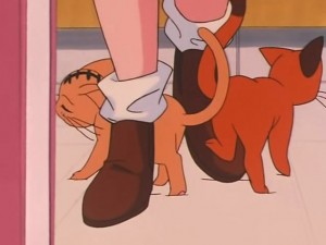 screenshot-anime-sailor-moon-s-episode-091-214.jpg