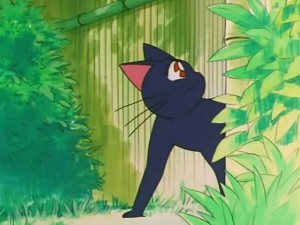 screenshot-anime-sailor-moon-s-episode-104-379.jpg