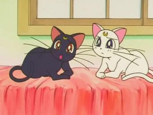 screenshot-anime-sailor-moon-s-episode-112-107.jpg