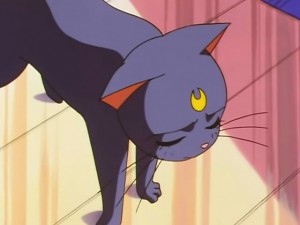 screenshot-anime-sailor-moon-sailor-stars-episode-190-177.jpg