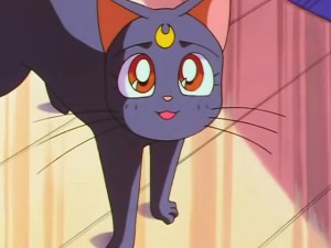 screenshot-anime-sailor-moon-sailor-stars-episode-190-178.jpg