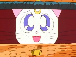 screenshot-anime-sailor-moon-sailor-stars-episode-192-243.jpg