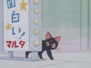 SailorMoon-s1-001(208).jpg