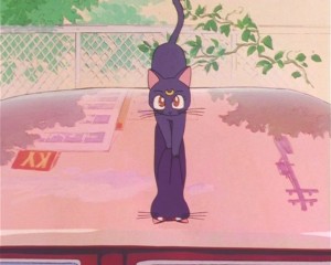 SailorMoon-s1-002(30).JPG