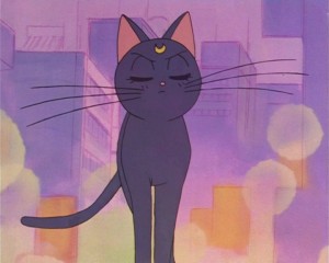 SailorMoon-s1-002(341).JPG