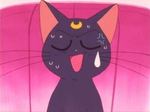 SailorMoon-s1-011(12).jpg
