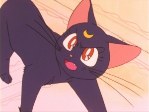SailorMoon-s1-011(274).jpg