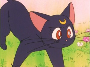 SailorMoon-s1-011(297).jpg