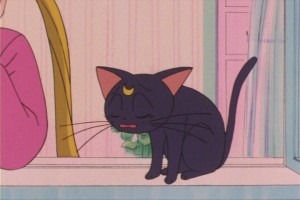 SailorMoon-s1-013(86).JPG
