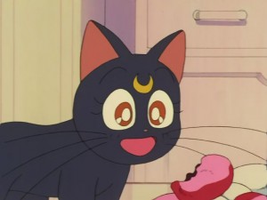 SailorMoon-s1-030(283).JPG