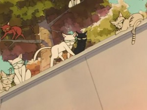 SailorMoon-s1-031(156).JPG