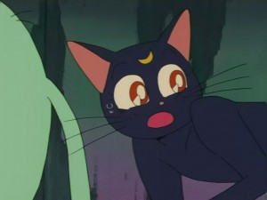 SailorMoon-s1-031(388).JPG