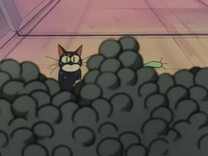 SailorMoon-s1-031(446).JPG