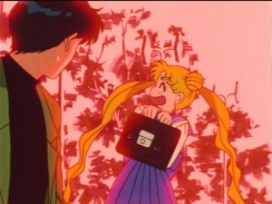 SailorMoon-s1-034(133).jpg