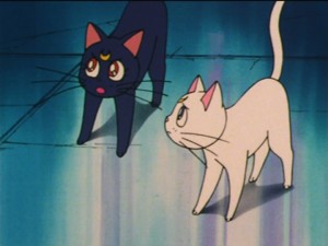 SailorMoon-s1-035(312).jpg