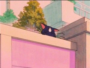 SailorMoon-s1-037(6).jpg