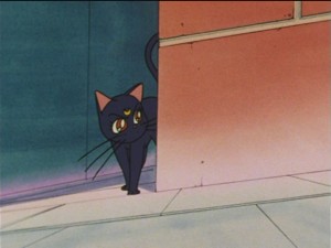 SailorMoon-s1-043(213).JPG