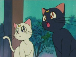 SailorMoon-s1-043(271).JPG