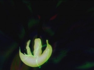 SailorMoon-s1-044(333).JPG