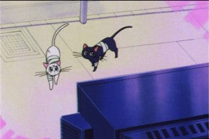 SailorMoon-s1-045(6).jpg