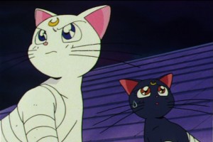 SailorMoon-s1-046(299).jpg
