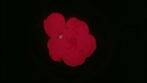 Sailormoon-R (60).jpg