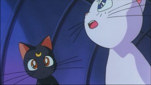Sailormoon-R (941).jpg