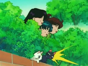 screenshot-anime-sailor-moon-s-episode-109-202.jpg