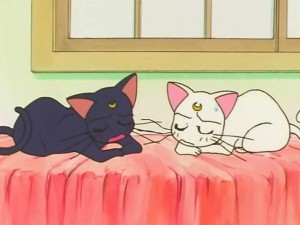 screenshot-anime-sailor-moon-s-episode-112-158.jpg