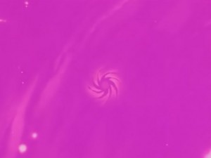 screenshot-anime-sailor-moon-s-episode-125-242.JPG