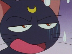 screenshot-anime-sailor-moon-sailor-stars-episode-184-086.JPG