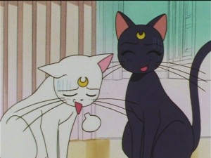 screenshot-anime-sailor-moon-sailor-stars-episode-184-221.JPG