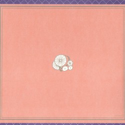 Sailor Moon Crystal Bluray Limited Edition 3 - Box Scans- Box back.jpg