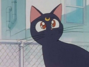 SailorMoon-s1-001(54).jpg