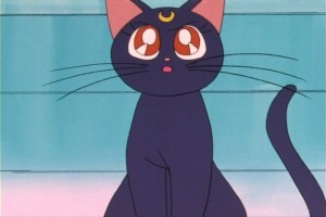 SailorMoon-s1-007(312).jpg