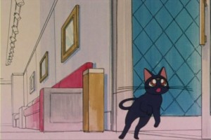 SailorMoon-s1-007(367).jpg