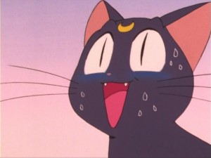 SailorMoon-s1-011(379).jpg