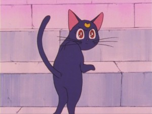 SailorMoon-s1-016(253).jpg