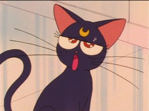 SailorMoon-s1-023(139).jpg