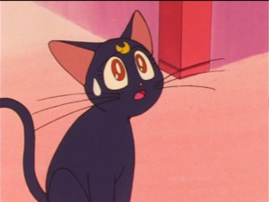 SailorMoon-s1-023(202).jpg