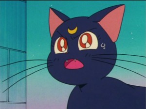 SailorMoon-s1-024(176).jpg