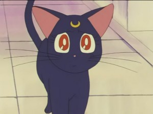 SailorMoon-s1-027(136).JPG