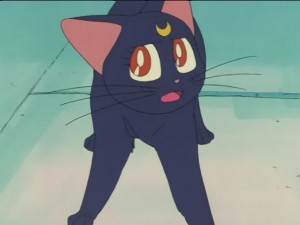 SailorMoon-s1-027(204).JPG