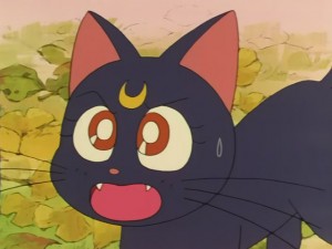 SailorMoon-s1-030(271).JPG