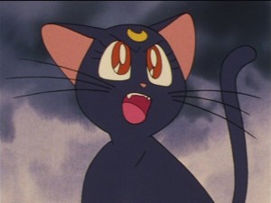 SailorMoon-s1-033(226).JPG
